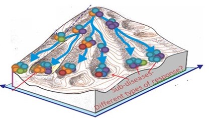 Immune landscape